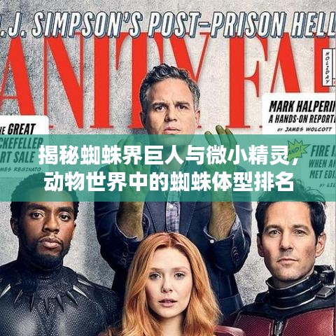 揭秘蜘蛛界巨人与微小精灵，动物世界中的蜘蛛体型排名