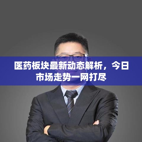 医药板块最新动态解析，今日市场走势一网打尽