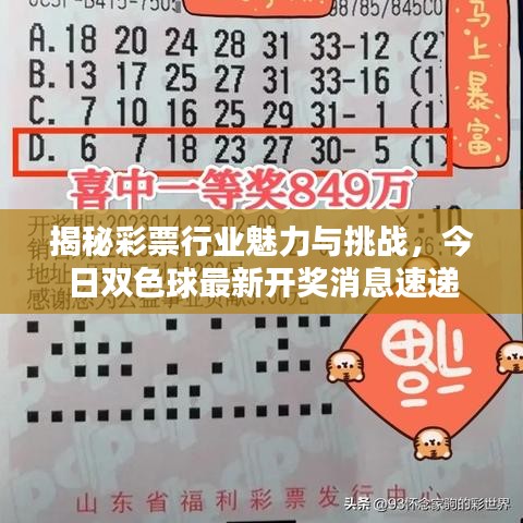 揭秘彩票行业魅力与挑战，今日双色球最新开奖消息速递