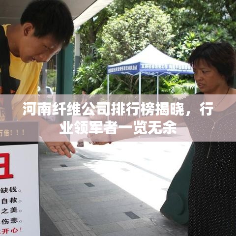 河南纤维公司排行榜揭晓，行业领军者一览无余