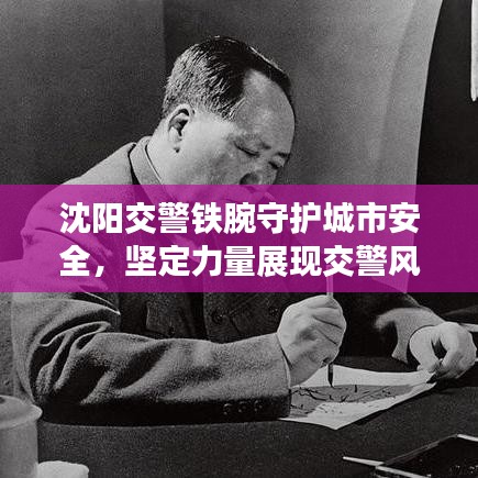 沈阳交警铁腕守护城市安全，坚定力量展现交警风采