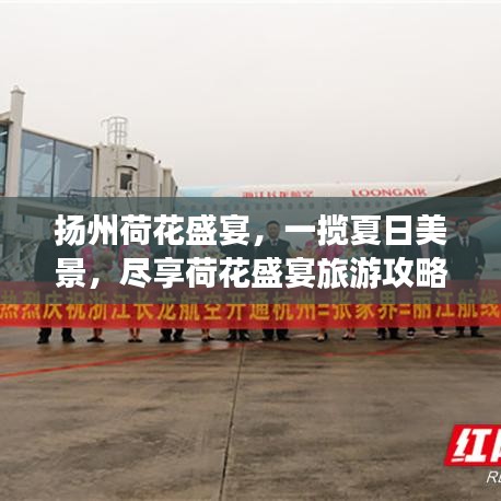 扬州荷花盛宴，一揽夏日美景，尽享荷花盛宴旅游攻略