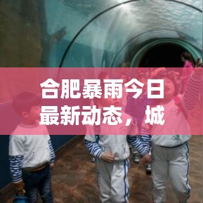 合肥暴雨今日最新动态，城市暴雨应对攻略！