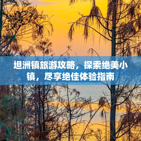 坦洲镇旅游攻略，探索绝美小镇，尽享绝佳体验指南