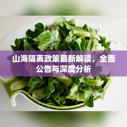 山海隔离政策最新解读，全面公告与深度分析