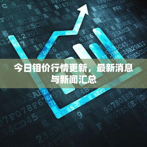 今日钼价行情更新，最新消息与新闻汇总
