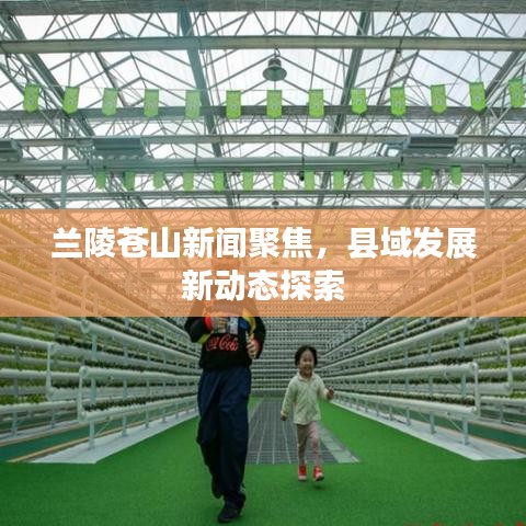 兰陵苍山新闻聚焦，县域发展新动态探索