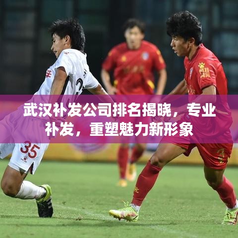 武汉补发公司排名揭晓，专业补发，重塑魅力新形象