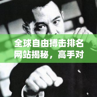 全球自由搏击排名网站揭秘，高手对决权威榜单震撼发布！