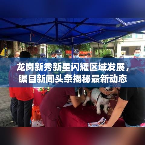 龙岗新秀新星闪耀区域发展，瞩目新闻头条揭秘最新动态