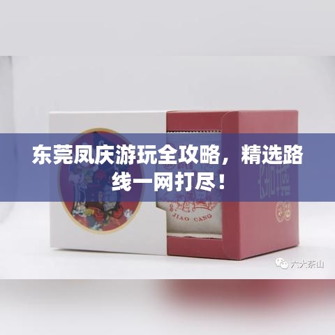 东莞凤庆游玩全攻略，精选路线一网打尽！