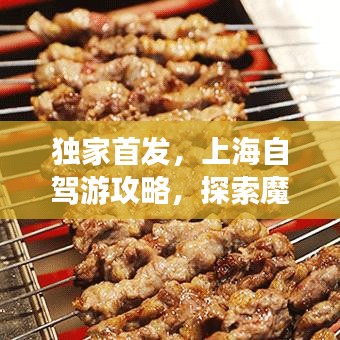 独家首发，上海自驾游攻略，探索魔都美景的绝佳路线