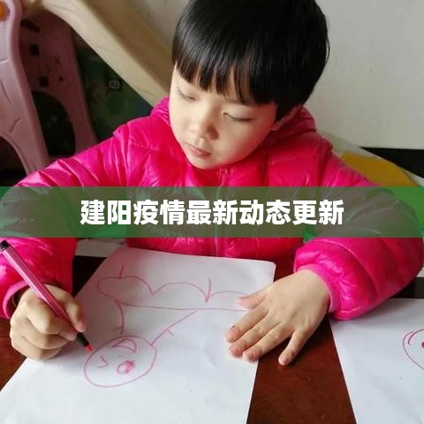 建阳疫情最新动态更新