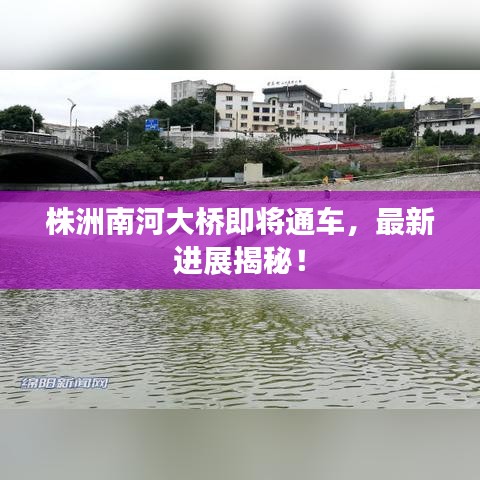 株洲南河大桥即将通车，最新进展揭秘！