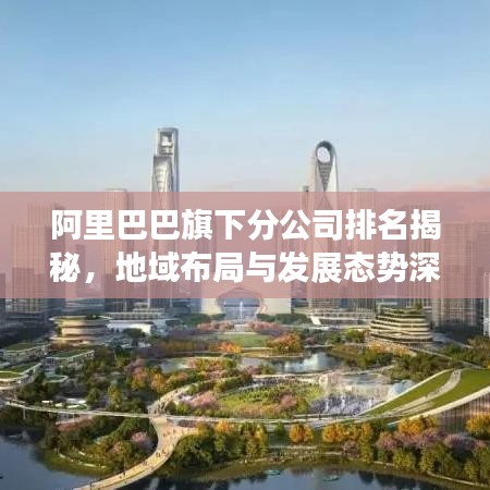 阿里巴巴旗下分公司排名揭秘，地域布局与发展态势深度洞察