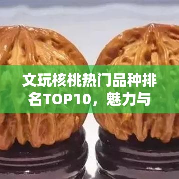 文玩核桃热门品种排名TOP10，魅力与价值大揭秘！