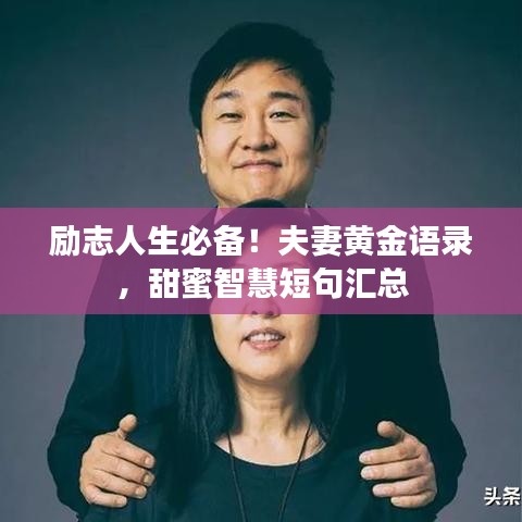 励志人生必备！夫妻黄金语录，甜蜜智慧短句汇总