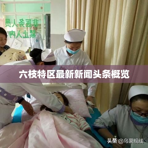 六枝特区最新新闻头条概览