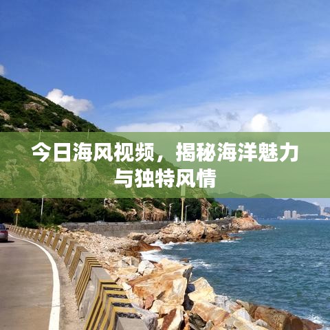 今日海风视频，揭秘海洋魅力与独特风情