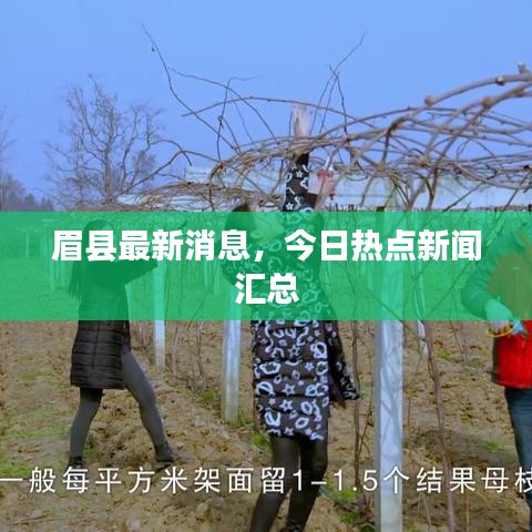 眉县最新消息，今日热点新闻汇总