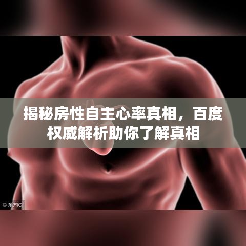 揭秘房性自主心率真相，百度权威解析助你了解真相