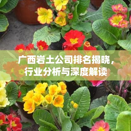 广西岩土公司排名揭晓，行业分析与深度解读