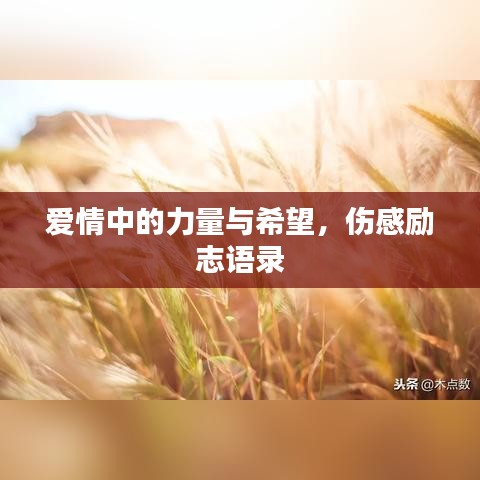 爱情中的力量与希望，伤感励志语录
