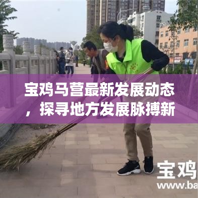 宝鸡马营最新发展动态，探寻地方发展脉搏新动向