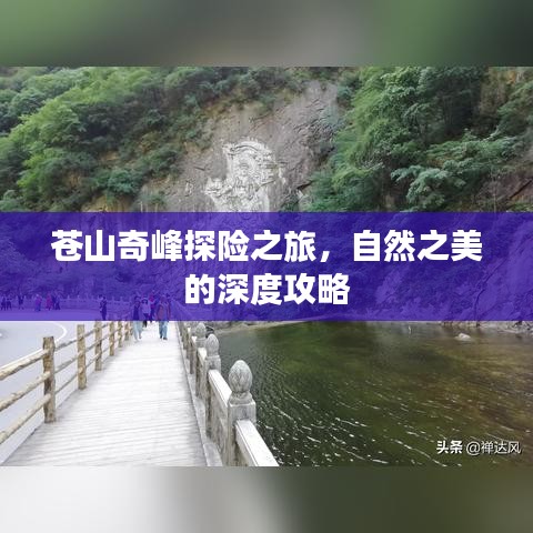 苍山奇峰探险之旅，自然之美的深度攻略