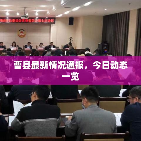 曹县最新情况通报，今日动态一览