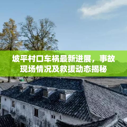 坡平村口车祸最新进展，事故现场情况及救援动态揭秘