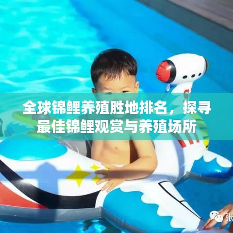全球锦鲤养殖胜地排名，探寻最佳锦鲤观赏与养殖场所