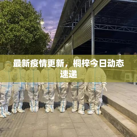 最新疫情更新，桐梓今日动态速递