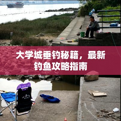 大学城垂钓秘籍，最新钓鱼攻略指南