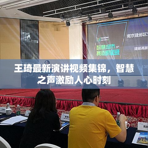 王琦最新演讲视频集锦，智慧之声激励人心时刻