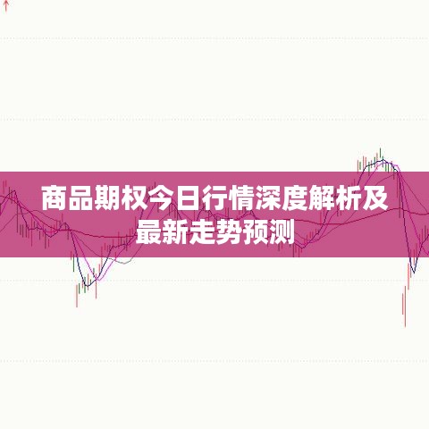 商品期权今日行情深度解析及最新走势预测