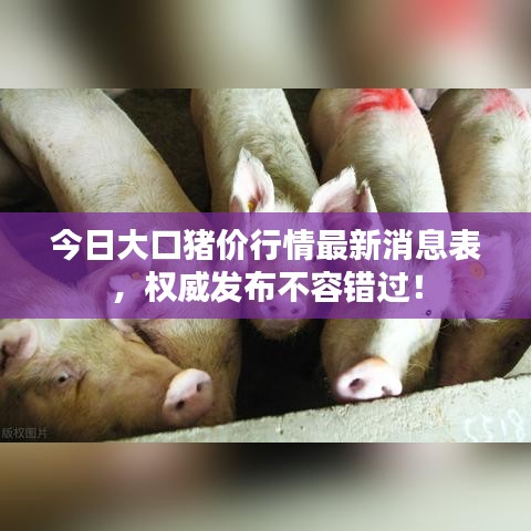 今日大口猪价行情最新消息表，权威发布不容错过！