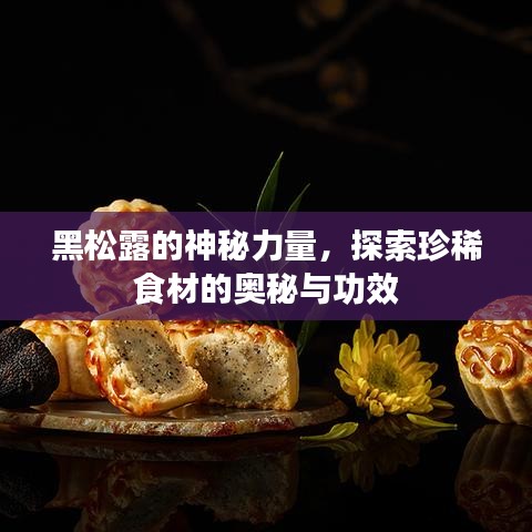黑松露的神秘力量，探索珍稀食材的奥秘与功效
