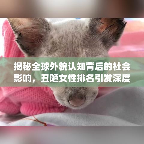 揭秘全球外貌认知背后的社会影响，丑陋女性排名引发深度思考