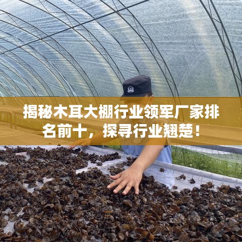 揭秘木耳大棚行业领军厂家排名前十，探寻行业翘楚！