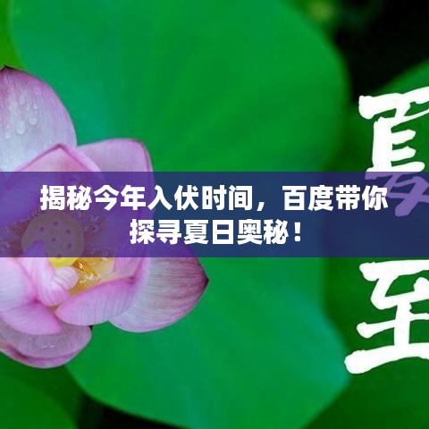 揭秘今年入伏时间，百度带你探寻夏日奥秘！