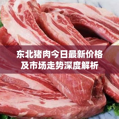 东北猪肉今日最新价格及市场走势深度解析