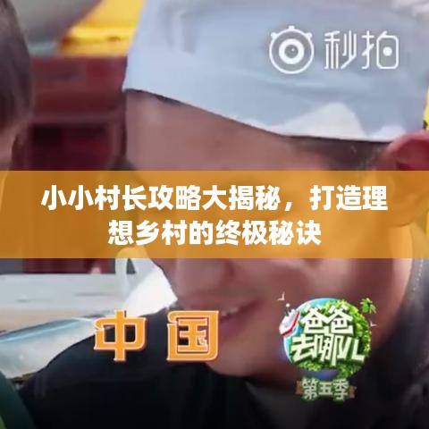 小小村长攻略大揭秘，打造理想乡村的终极秘诀