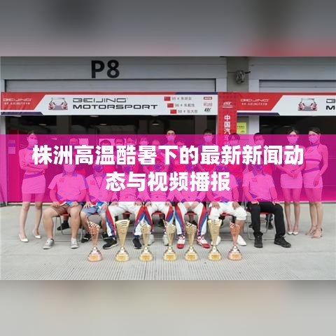 株洲高温酷暑下的最新新闻动态与视频播报