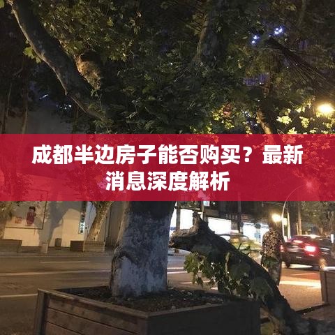 成都半边房子能否购买？最新消息深度解析