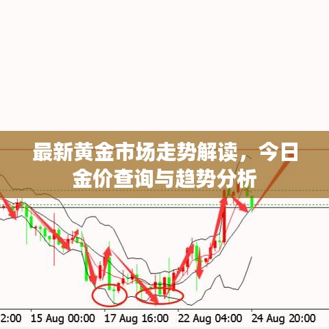 最新黄金市场走势解读，今日金价查询与趋势分析