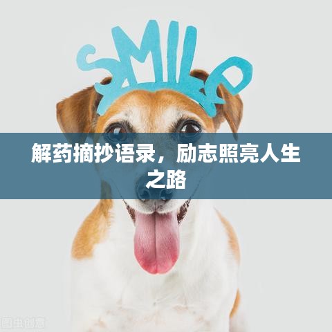 解药摘抄语录，励志照亮人生之路