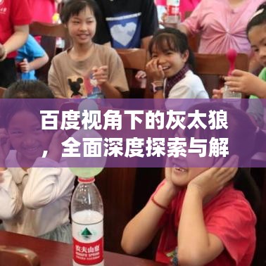 百度视角下的灰太狼，全面深度探索与解读