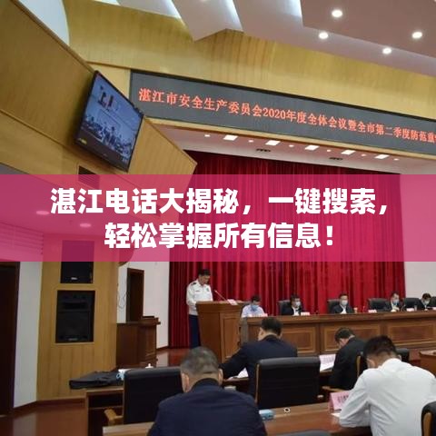 湛江电话大揭秘，一键搜索，轻松掌握所有信息！