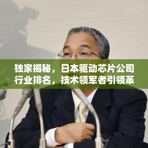 独家揭秘，日本驱动芯片公司行业排名，技术领军者引领革新潮流